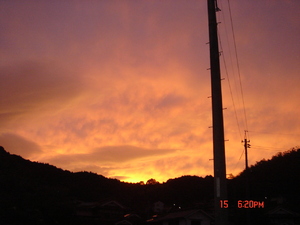 img_20130924-155905.jpg