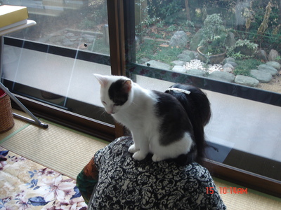 img_20131215-153808.jpg