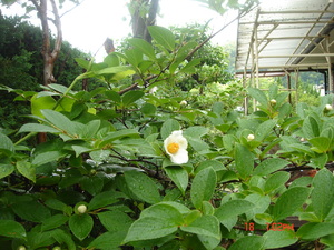 img_20140618-131436.jpg