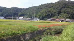 img_20140923-140613.jpg