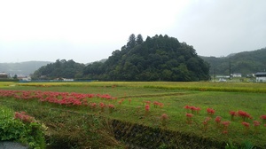 img_20150924-165745.jpg