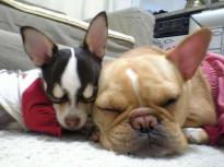 img_20130212-140957.jpg