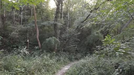 img_20141006-081745.jpg