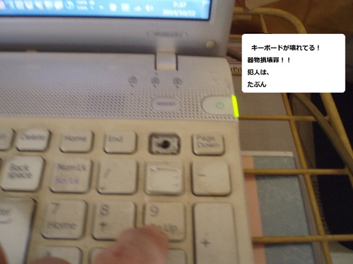 img_20141025-171725.jpg