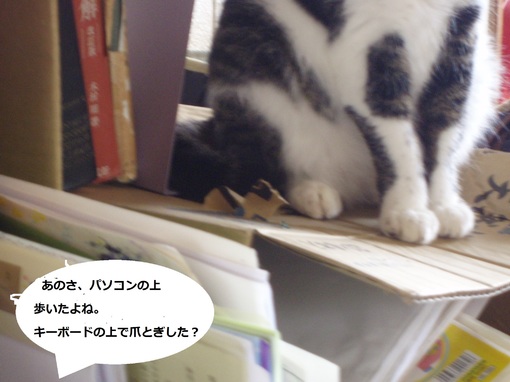 img_20141025-171822.jpg