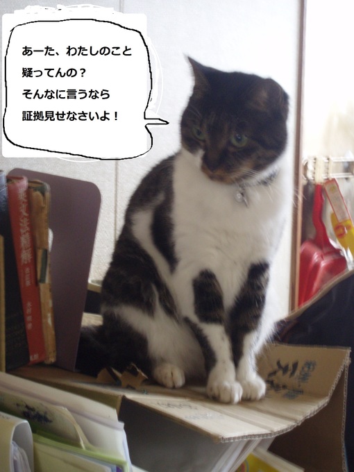 img_20141025-172018.jpg