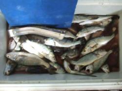 img_20130312-220807.jpg