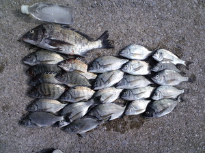 img_20131011-160051.jpg