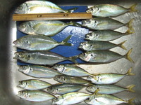 img_20131021-203346.jpg