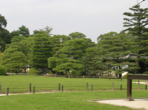 img_20130914-121855.jpg