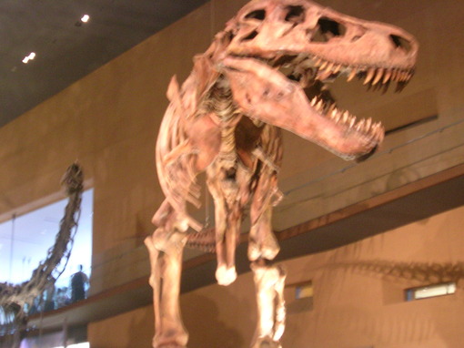 img_20130915-105254.jpg