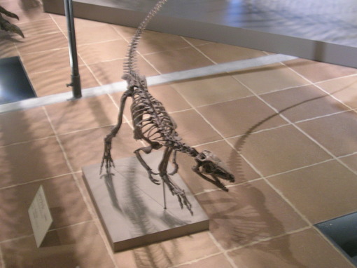img_20130915-105938.jpg