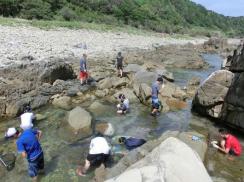 img_20130206-235941.jpg