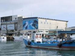 img_20130207-002214.jpg