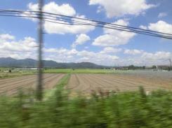 img_20130207-003339.jpg