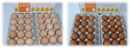 img_20130314-193002.png