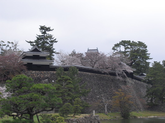 img_20130519-194219.jpg