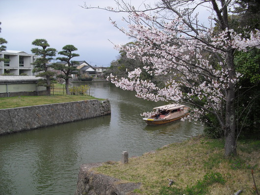 img_20130519-194315.jpg