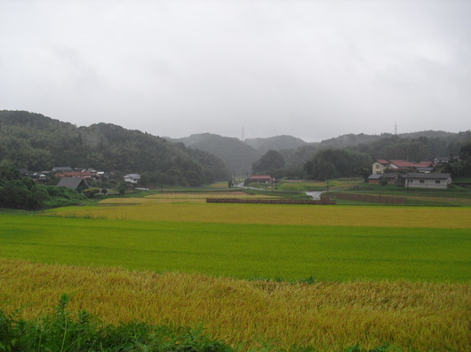 img_20130908-195211.jpg