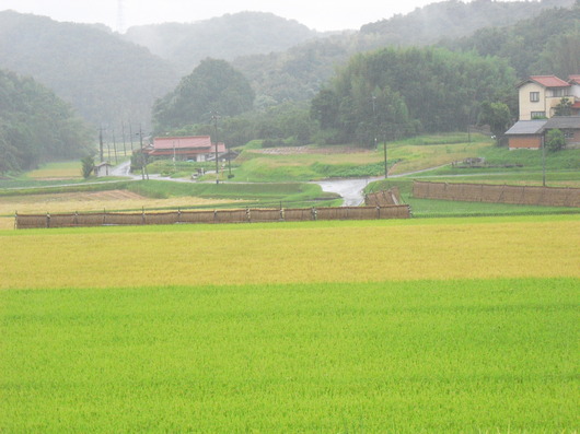 img_20130908-195242.jpg