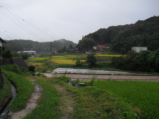 img_20130908-200434.jpg