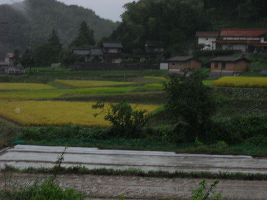 img_20130908-200455.jpg