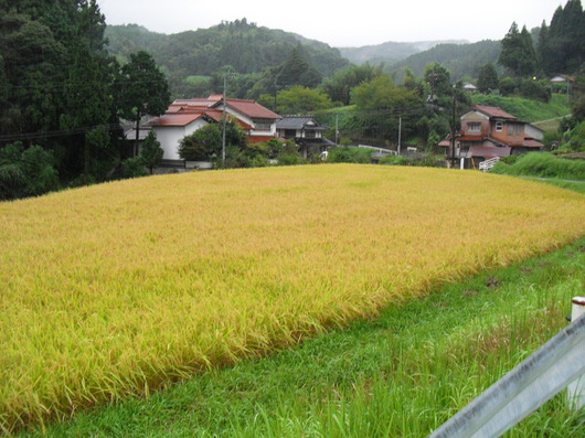 img_20130908-200519.jpg