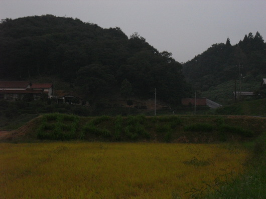 img_20130914-222505.jpg