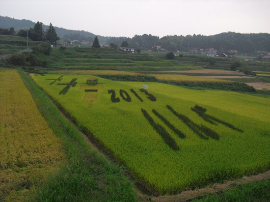 img_20130914-222546.jpg