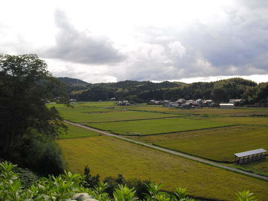 img_20130914-224601.jpg