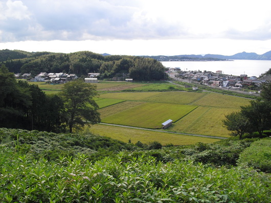 img_20130914-224706.jpg