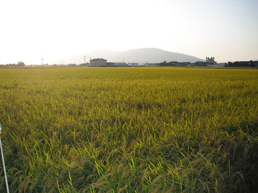 img_20130922-224154.jpg