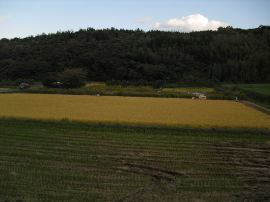 img_20131012-215753.jpg
