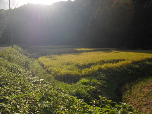 img_20131012-215828.jpg