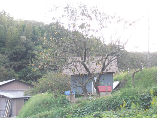 img_20131012-215922.jpg