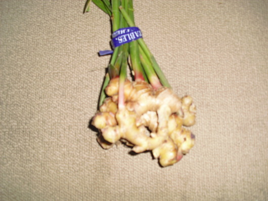 img_20131117-190048.jpg