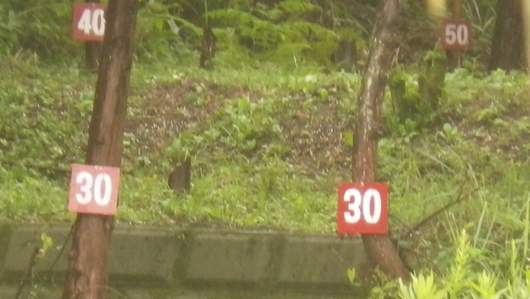 img_20140908-200651.jpg