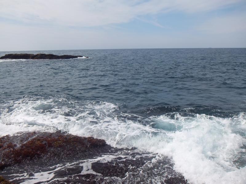 ☆白浜に日帰り観光してきました☆画像