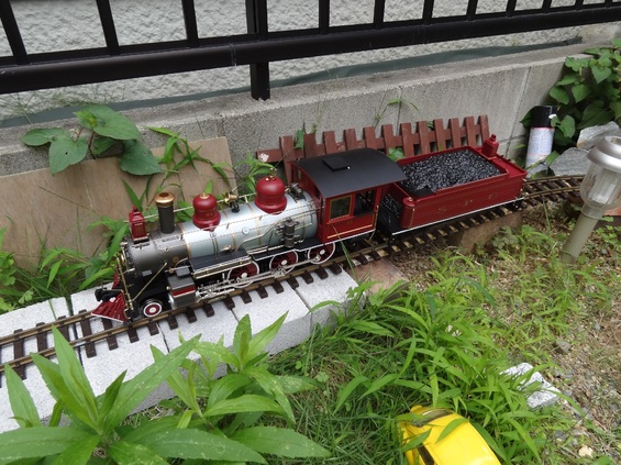 img_20150808-134104.jpg