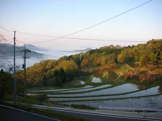 img_20130507-092529.jpg