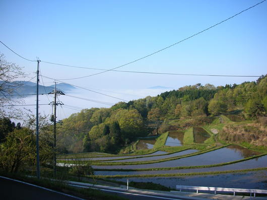 img_20130507-092624.jpg