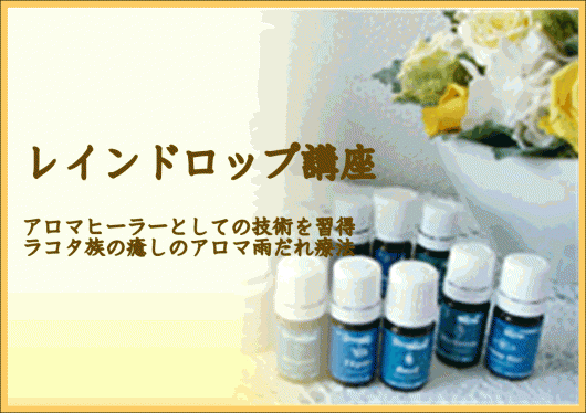 img_20111109-124852.gif