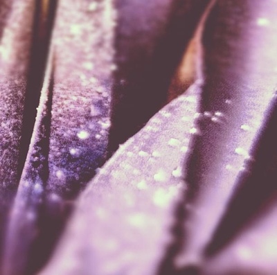 drops
