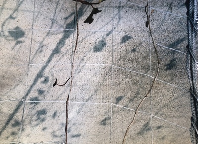 自然の織りなす絵画