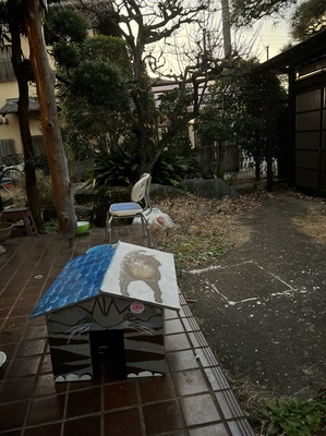 まる部屋描いてたら