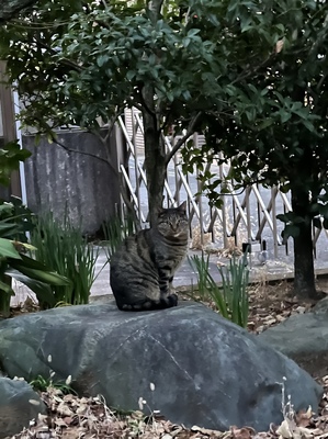 ◯