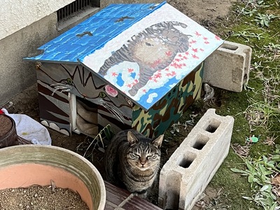 小屋の中で朝を迎えた◯子