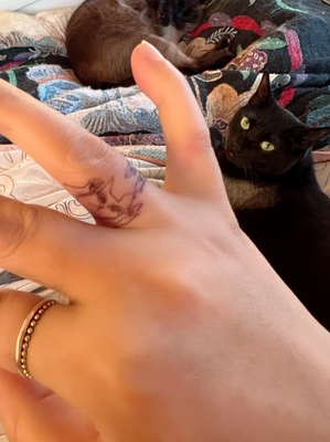猫タトゥー
