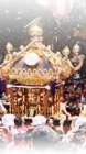 昨年　花園神社　大祭 5月 Hanazono shrine big festival　May