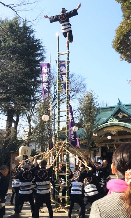 梯子乗り披露 須賀神社